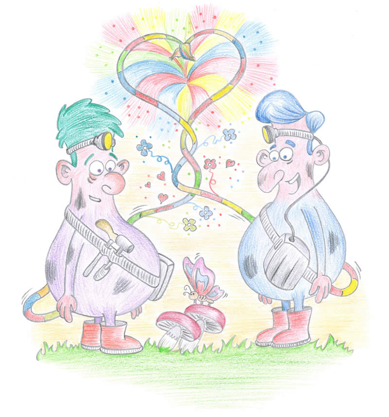 De Koelemenkes nostalgisch kinderboek